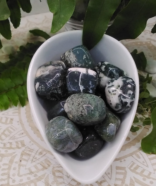 Tree Moss Agate Tumble Stone